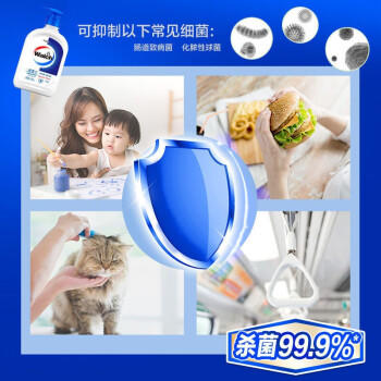 威露士（Walch）洗手液丝蛋白洗手液大瓶装 【共1050ml】525ml*2瓶 /个人护理 /身体护理 /洗手液 商品图1