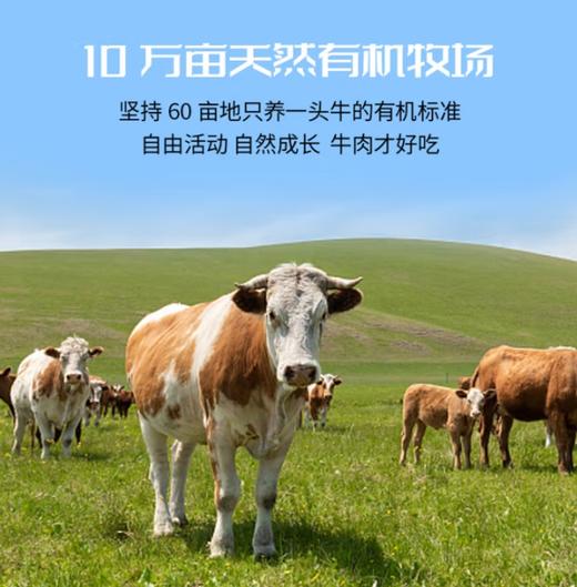 牧北鲜内蒙古有机原切牛腩块 商品图2