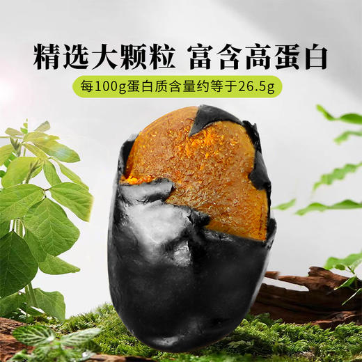 冠桥皇牌 阳江豆豉 70/袋 商品图4