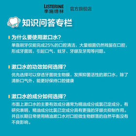李施德林 (Listerine) 漱口水 清凉口味清新口气 500mL  /个人护理 /口腔护理 /漱口水
