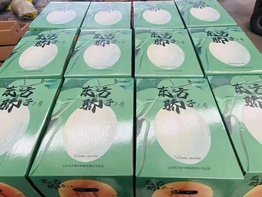 新东方娇子哈密瓜2粒礼盒装 商品图3