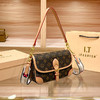 丁摩 腋下包女新款复古百搭老花高级感女士单肩斜挎小包5ZF-5191 商品缩略图0