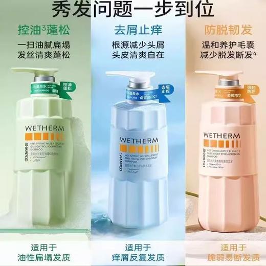 【VIP-G】温碧泉 温泉水元素止痒去屑洗发水/姜根韧发/控油蓬松/蛋白润泽护发素/止痒香氛沐浴露 500ml 商品图2