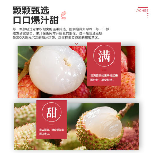 【顺丰冷链直发】海南妃子笑荔枝 净重2.5斤装/4.5斤装 皮薄核小 爆汁鲜甜 商品图3