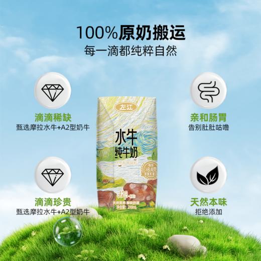左江a2β-酪蛋白水牛纯牛奶 210ml*10盒 乳糖不耐受福音，营养好吸收 商品图3