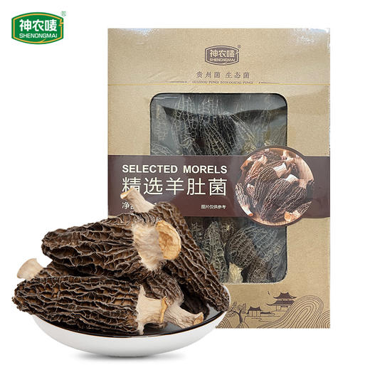 【贵州帮扶】神农唛丨精选羊肚菌100g 商品图0