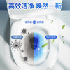 巨奇严选 蓝泡泡洁厕宝 50g*15块洁厕块 去污洁厕灵厕所马桶清洁剂 /家庭清洁/纸品 /家庭环境清洁 /洁厕灵 商品缩略图5