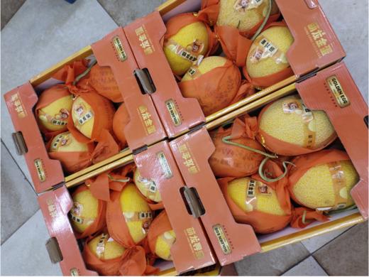 萌龙金蛋蜜瓜一箱 商品图1