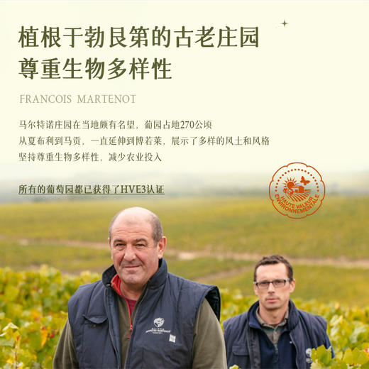 【法国进口】 法国穆德霍斯小夏布利干白葡萄酒  勃艮第AOC单一霞多丽干白葡萄酒  12%VOl 商品图1