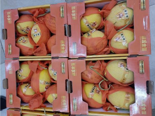萌龙金蛋蜜瓜一箱 商品图2
