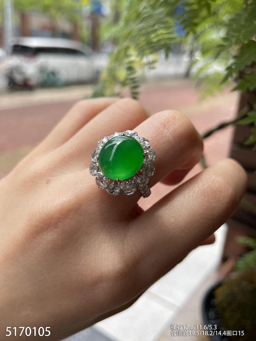 老坑艳绿蛋面戒指【5170105】具体价格微信咨询 商品图7