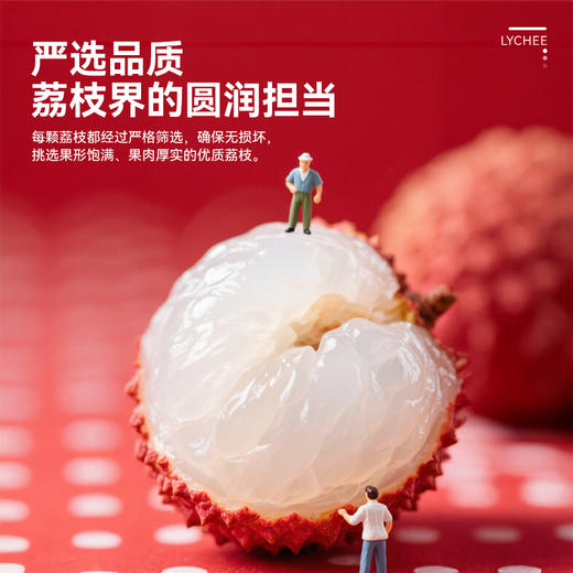 【顺丰冷链直发】海南妃子笑荔枝 净重2.5斤装/4.5斤装 皮薄核小 爆汁鲜甜 商品图1