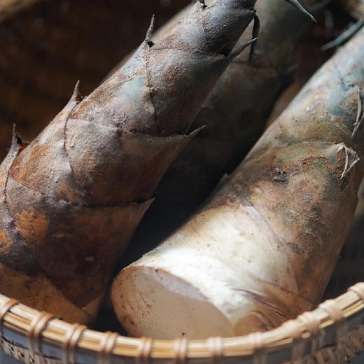 有机思茅甜笋 商品图4