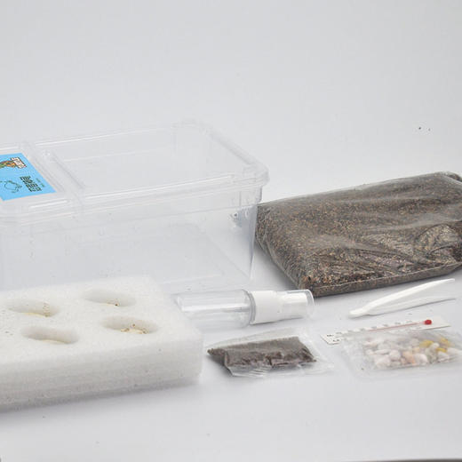 忍者神龟DIY孵化套装  亲手孵化小乌龟，一站式养成体验，科普教育，亲子互动 商品图3