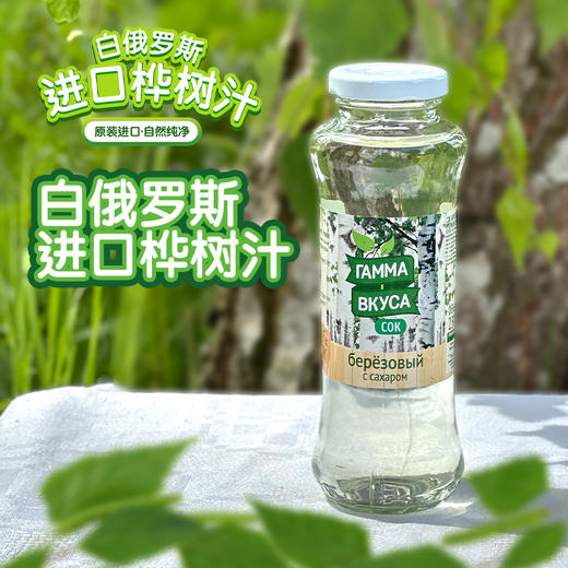 明斯卡娅白桦树汁饮料（玻璃瓶）250ml 商品图0
