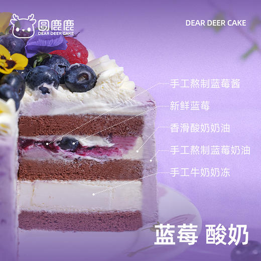 蓝莓酸奶 商品图1