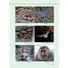 临安野生动物资源调查与研究/陶国英/刘宝权/朱永军主编/浙江大学出版社 商品缩略图3
