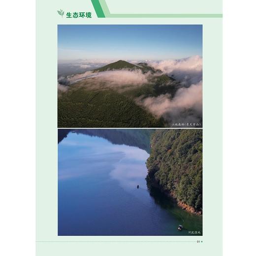 临安野生动物资源调查与研究/陶国英/刘宝权/朱永军主编/浙江大学出版社 商品图1