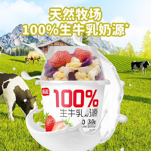 畅跑100%生牛乳拌酸奶（菠萝蜜味+草莓味） 商品图2
