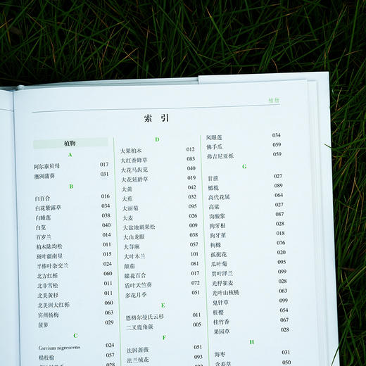 《世界百科全书大百科：博物大百科》 商品图11