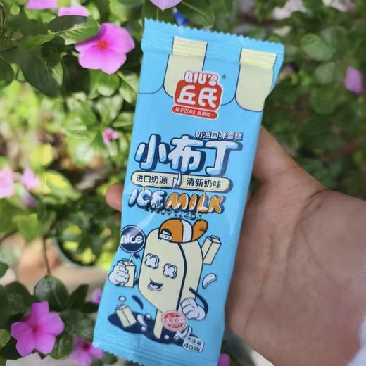 丘氏小布丁40g 商品图0