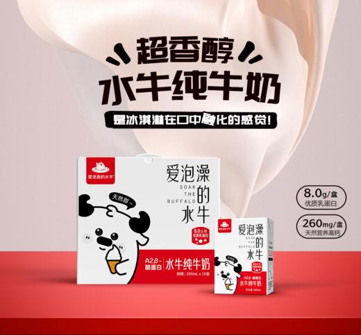 ³ 季卡买18箱送2箱【洗澡牛-水牛奶+纯牛奶】香醇微甜 200ml/盒 XN03-CRMM-ZJSNN 商品图2