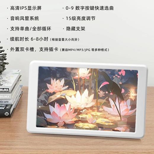 净宗三宝视频机 商品图2