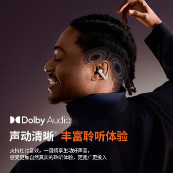 韶音（SHOKZ）OpenDots ONE动钛圈开放式蓝牙耳机耳夹式无线耳机运动跑步蓝牙耳机E310 黑色 /数码 /影音娱乐 /蓝牙/无线耳机 商品图0