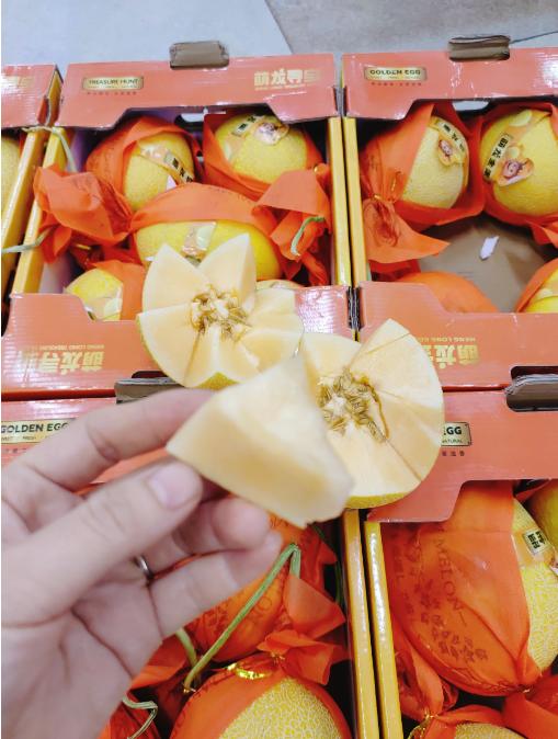 萌龙金蛋蜜瓜一箱 商品图3