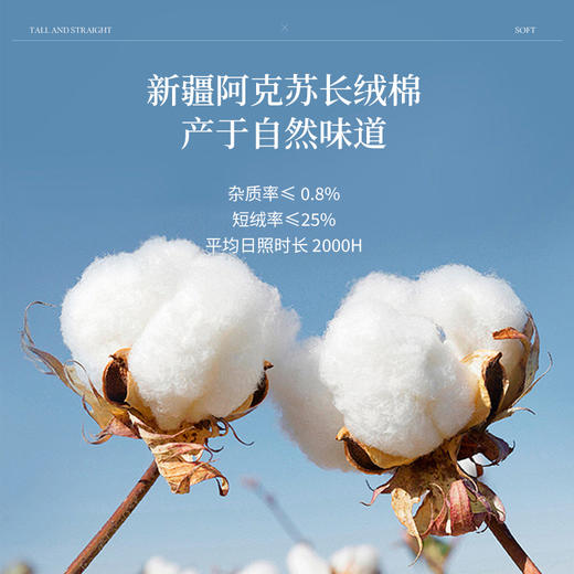 【专属特价】熙世界甜美风玫瑰粉抽绳短袖T恤女设计感正肩显瘦上衣2025夏新款 商品图4