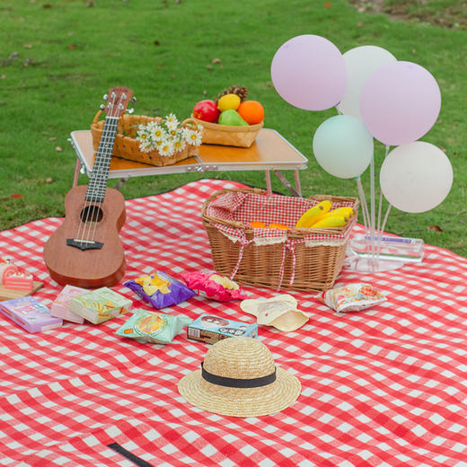 徽羚羊牛津布野餐垫（颜色随机发货） 商品图1