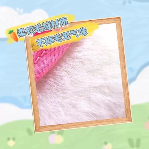 【春上新】8楼 乐高  白色拉比兔 吊牌价  369元 商品图4