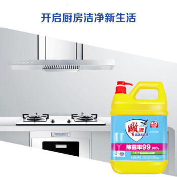 雕牌高效洗洁精5kg 除菌率99% 餐具/食品通用 /家庭清洁/纸品 /家庭环境清洁 /洗洁精 商品图3