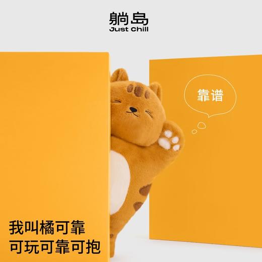 2025新品橘猫玩偶抱枕 商品图0