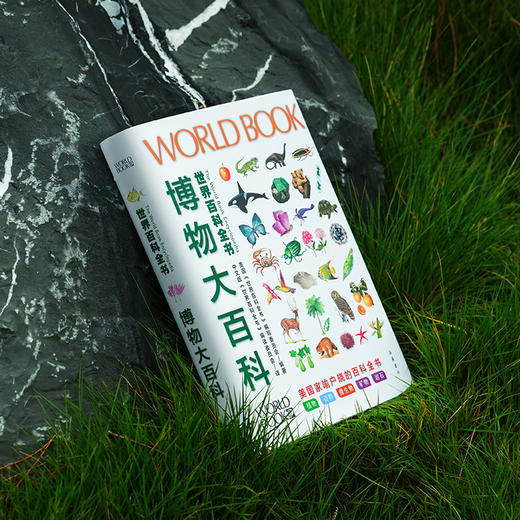 《世界百科全书大百科：博物大百科》 商品图6