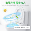 绿伞强力厕洁剂马桶清洁剂洁厕灵花香挂壁免刷洗 500g*2瓶 /家庭清洁/纸品 /家庭环境清洁 /洁厕灵 商品缩略图5