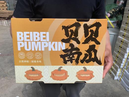 贝贝南瓜 带着板栗香，干面粉，冬天的南瓜甜度跟夏天比差一丢丢，算微甜！ 商品图12