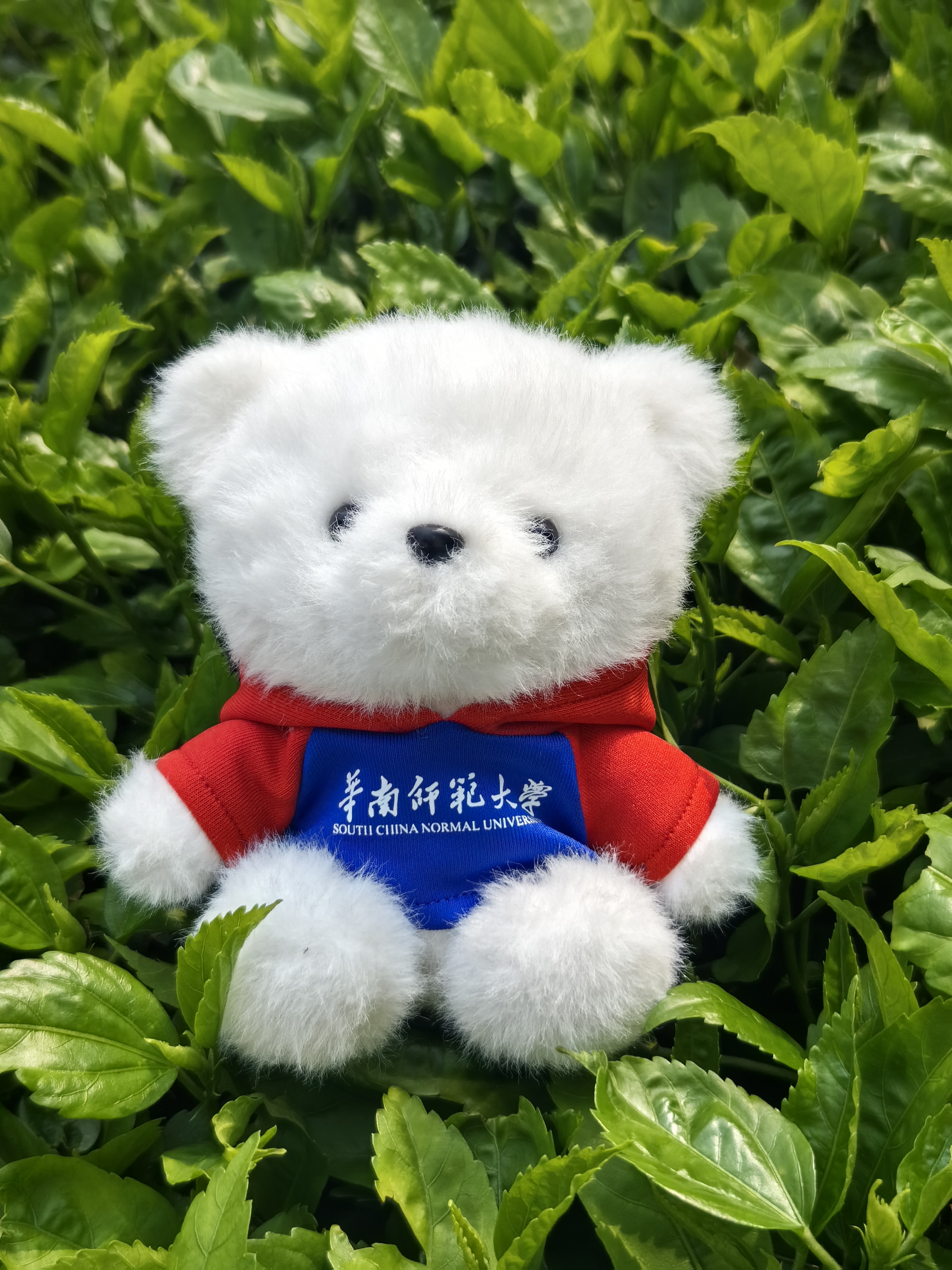 红蓝卫衣小熊挂件