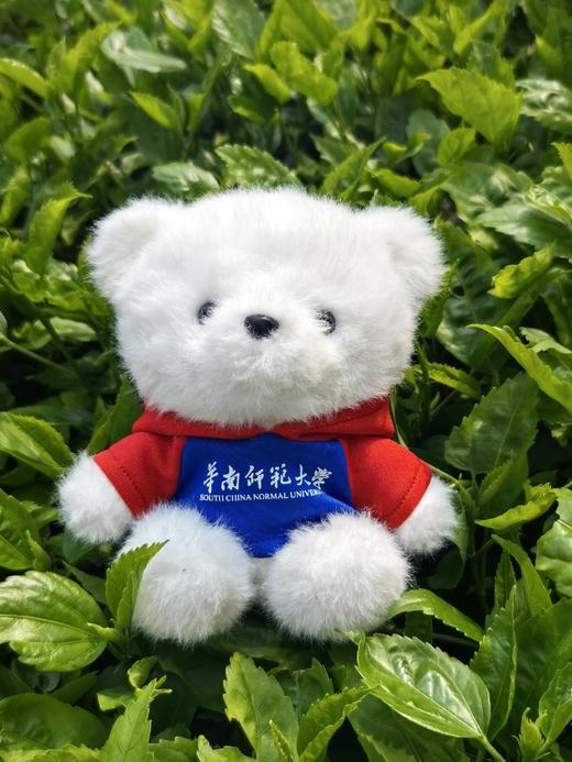 红蓝卫衣小熊挂件 商品图0