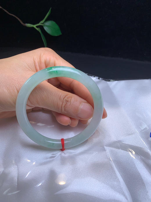 612985，55飘绿细圆条，整条清新干净，飘一抹绿，清清爽爽 商品图5