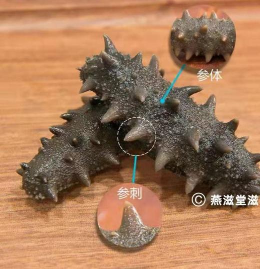 大连即食海参，严选品质，形态均匀饱满，肉质紧实 商品图3