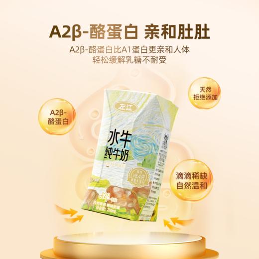 左江a2β-酪蛋白水牛纯牛奶 210ml*10盒 乳糖不耐受福音，营养好吸收 商品图4