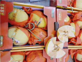 萌龙金蛋蜜瓜一箱