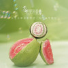 兜里有香香甜芯芭乐芭乐青提固体香膏学生党专用持久留香礼物高级感礼物 商品缩略图1