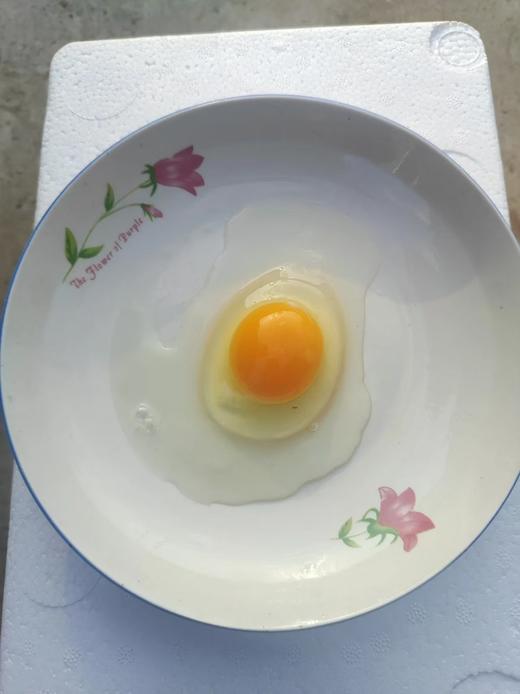 自然农法土鸡蛋 30枚/60枚【基地直发】| 产地：山东济南 | 生产者：新归旧农生态农场【公平贸易农人定价】 商品图1