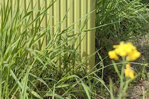 新秀丽代工厂~【布雷德2201新启点拉链款行李箱】纯Pc箱壳拉链箱环保♻️轻便材质。出游更轻松❗️颜值高，配色绝美！ 商品图2