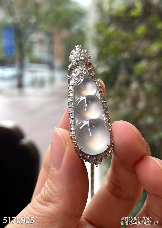 5170905，福豆吊坠。具体价格微信咨询 商品图2