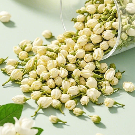 光雾良源茉莉花36g/罐 商品图2