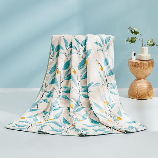 罗莱家纺芬梦清凉夏被 商品图3