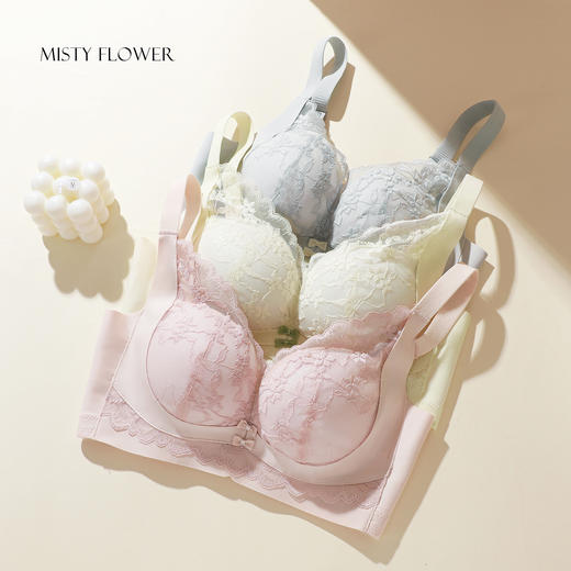 熳洁儿 小胸聚拢文胸双重反重力提拉无侧骨法式花卉蕾丝文胸25261513 商品图5